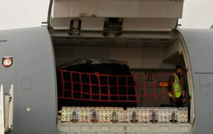 Cargo Door After P2F A310