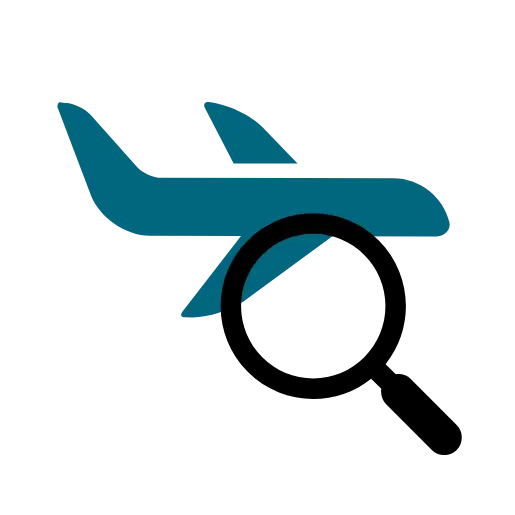 Runway & Aircraft Inspections